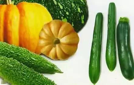 吃瓜隐士,网络红人的瓜田奇遇记