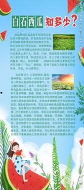 吃瓜群众展板图片,一场视觉盛宴的趣味解读