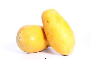 冀州吃的青皮瓜,夏日消暑佳品,口感独特风味浓