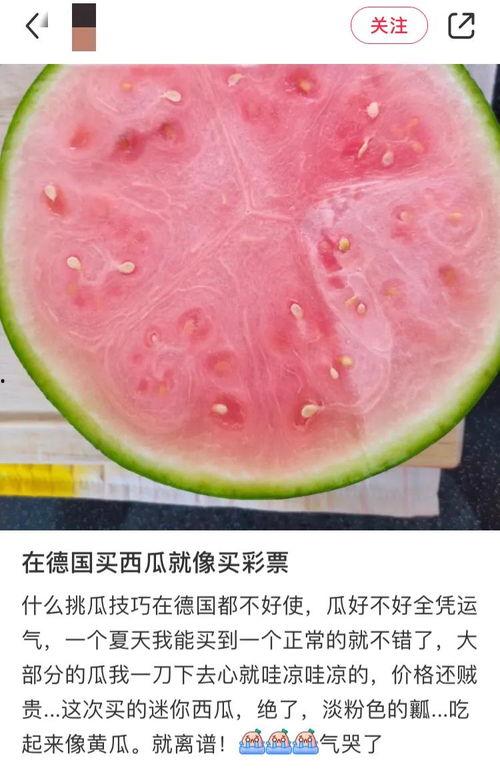 中国旅游吃瓜,一场味蕾的吃瓜之旅