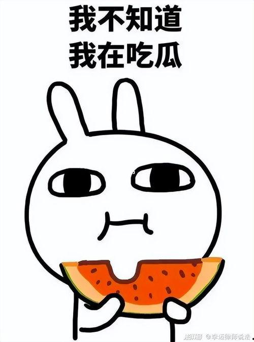 吃瓜q群3045544,一场网络社交的狂欢盛宴