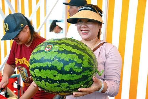 大王王吃瓜,揭秘娱乐圈幕后故事