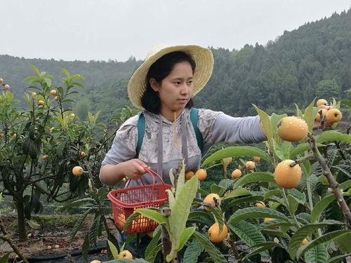 三台会计吃瓜,揭秘财务界的神秘故事