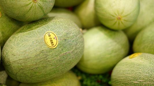 评论吃哈密瓜,品味夏日甜蜜时光