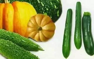 吃瓜好推荐,吃瓜好推荐带你领略明星幕后故事